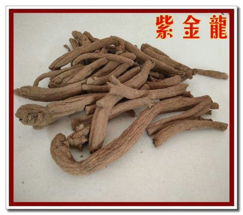 紫金龙，常年批发供应冷背中药材，野生货紫金龙