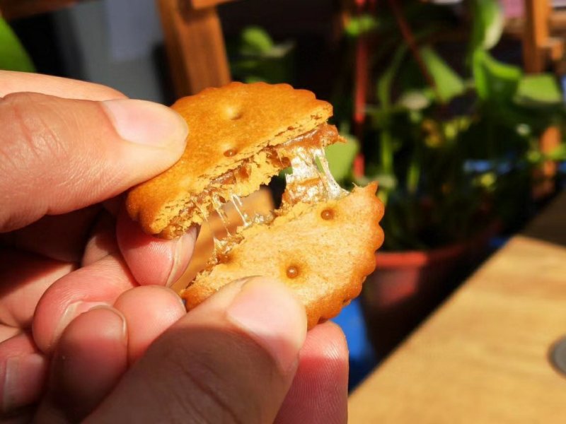 咸蛋蛋黄麦芽饼干网红小零食净重500克/盒包邮一件代发