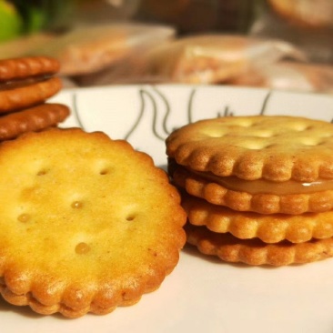咸蛋蛋黄麦芽饼干网红小零食净重500克/盒包邮一件代发
