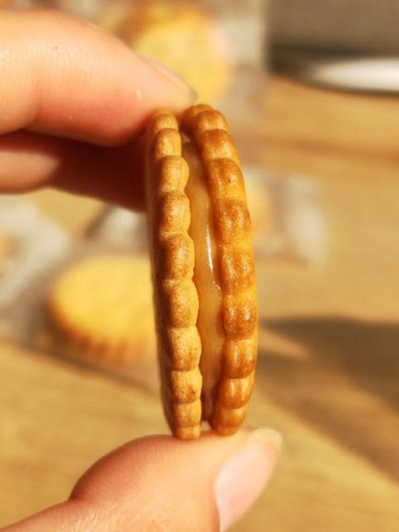 咸蛋蛋黄麦芽饼干网红小零食净重500克/盒包邮一件代发