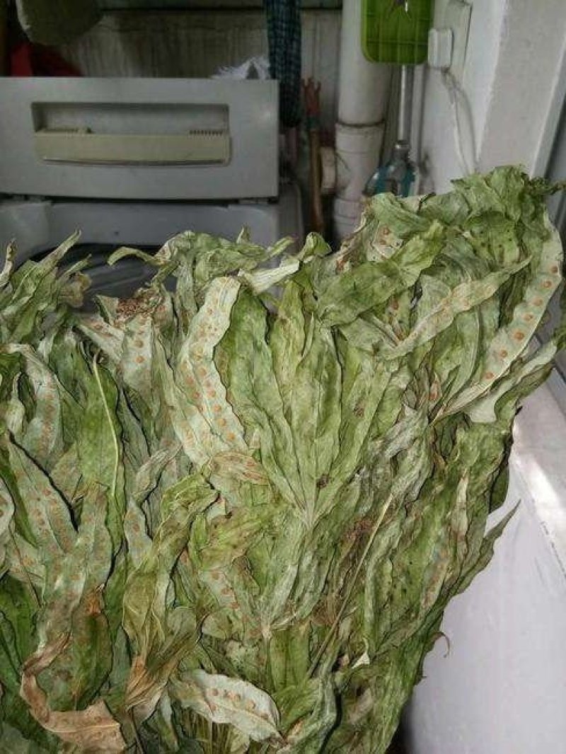 金鸡脚，别称鸭脚草、鸭跖草、金鸡爪，纯野生，色青足干货