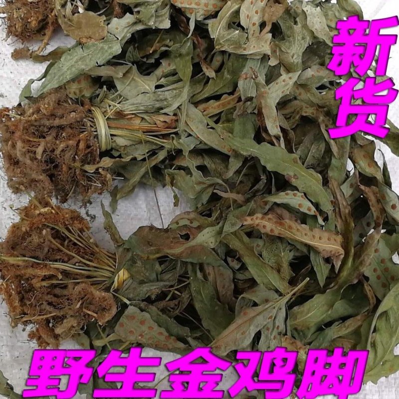 金鸡脚，别称鸭脚草、鸭跖草、金鸡爪，纯野生，色青足干货