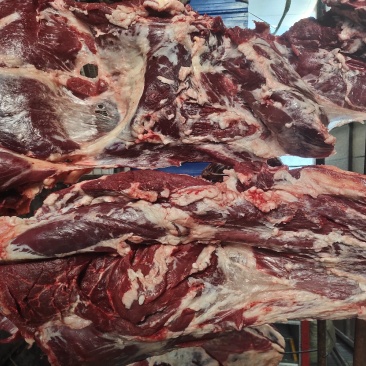 源头厂家纯干冷鲜公牛牛肉，高品质冷鲜牛肉一手货源