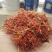 新疆正宗特级藏红花泡茶精品