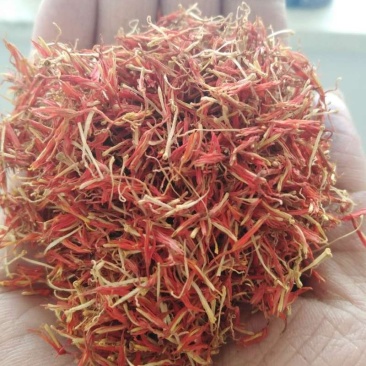 新疆正宗特级藏红花泡茶精品
