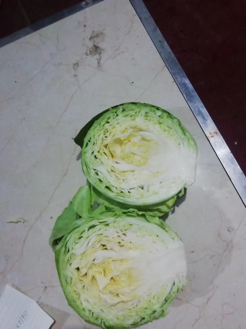 精品甘蓝，大量上市，面积大货源广，货源充足欢迎采购