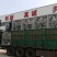 大风量养殖通风降温负压风机鸡舍降温通风设备