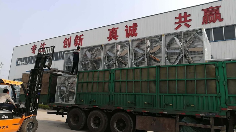 大风量养殖通风降温负压风机鸡舍降温通风设备