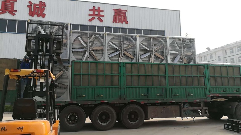 大风量养殖通风降温负压风机鸡舍降温通风设备