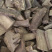 三分三【包邮】三斤起发货可批量可零售量大从优