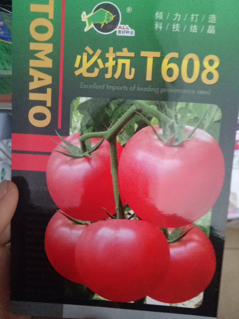 西红柿苗番茄抗死棵抗病毒硬粉耐运输品种免费提供技术