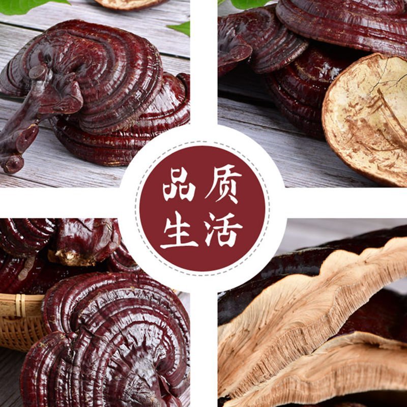长白山食用菌鲜货灵芝天灵芝欢迎联系