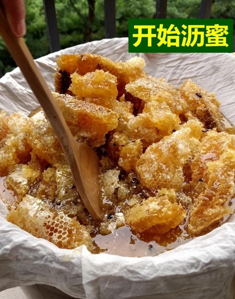 【高品质纯土蜂蜜】健康无价莫贪便宜优质纯土蜂蜜