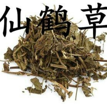 仙鹤草，常年批发供应中草药，仙鹤草
