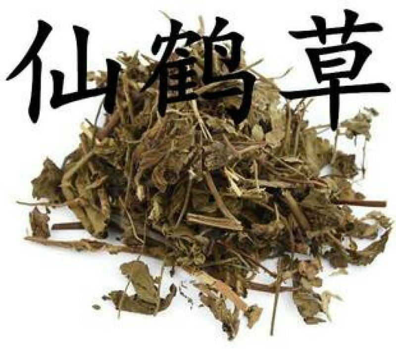 仙鹤草，常年批发供应中草药，仙鹤草