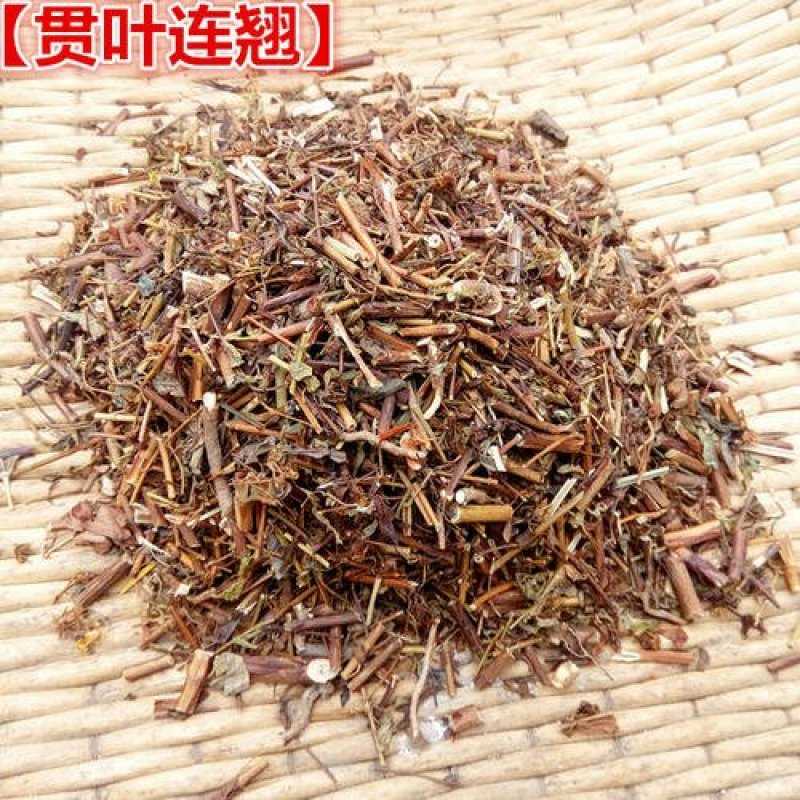 贯叶连翘，常年批发供应冷背中草药，贯叶连翘