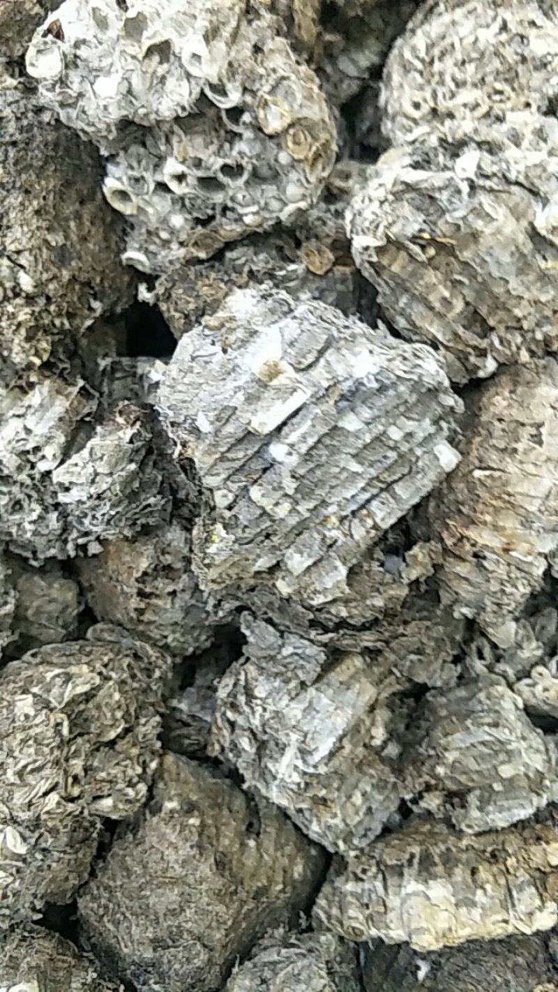 蜂房，常年批发供应野生蜂房，中药材