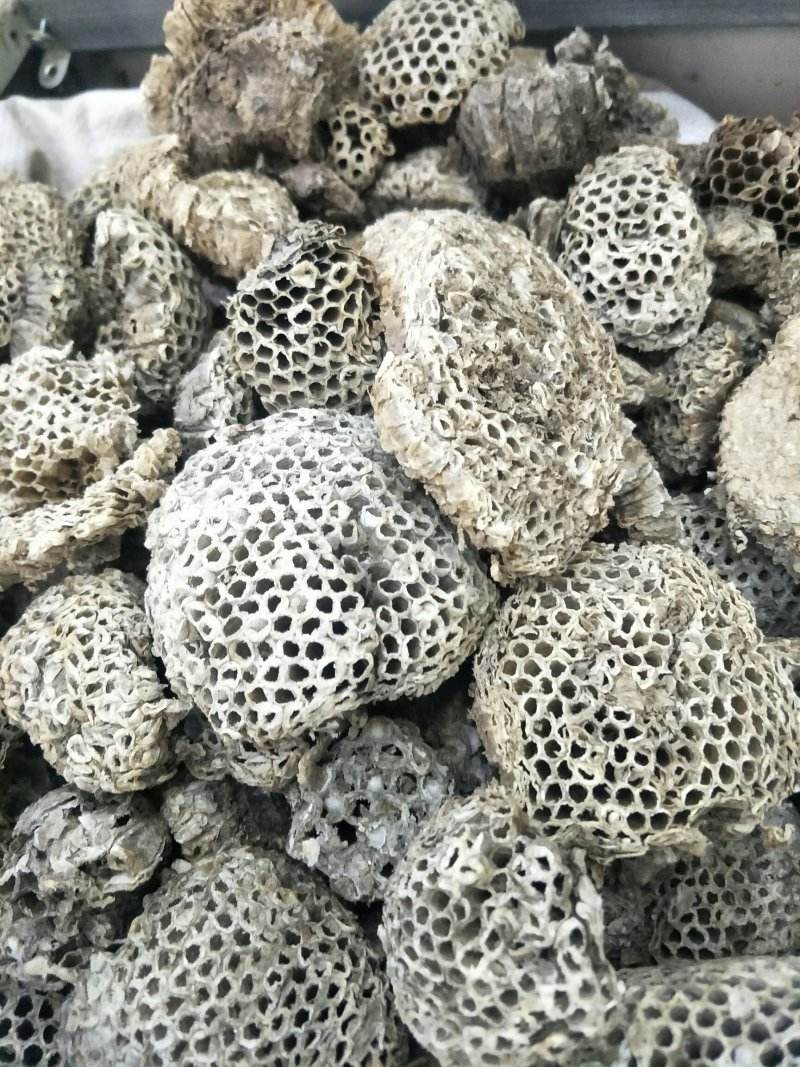 蜂房，常年批发供应野生蜂房，中药材