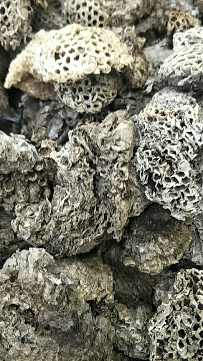 蜂房，常年批发供应野生蜂房，中药材