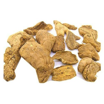 炮姜，常年批发供应炮姜，炮姜碳中药材