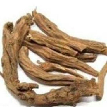 独一味，常年批发供应独一味，独一味叶子