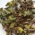 大驳骨，常年批发供应冷背中草药，大驳骨