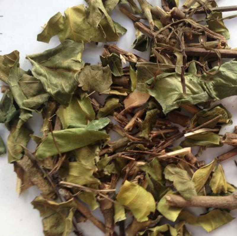 大驳骨，常年批发供应冷背中草药，大驳骨