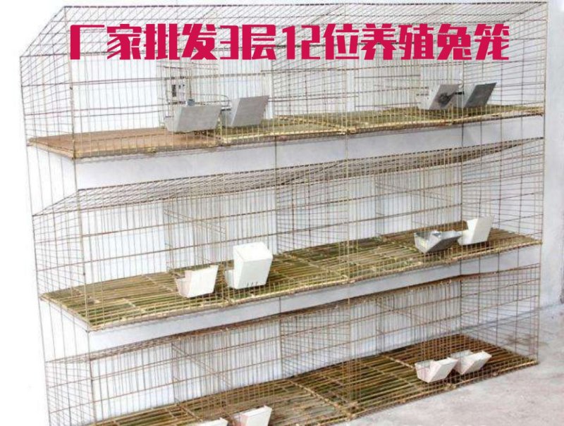3层12位仔母笼育肥笼【保证质量】育肥笼镀锌笼条磨光竹低