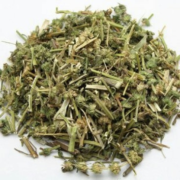 益母草，常年批发供应益母草，中草药