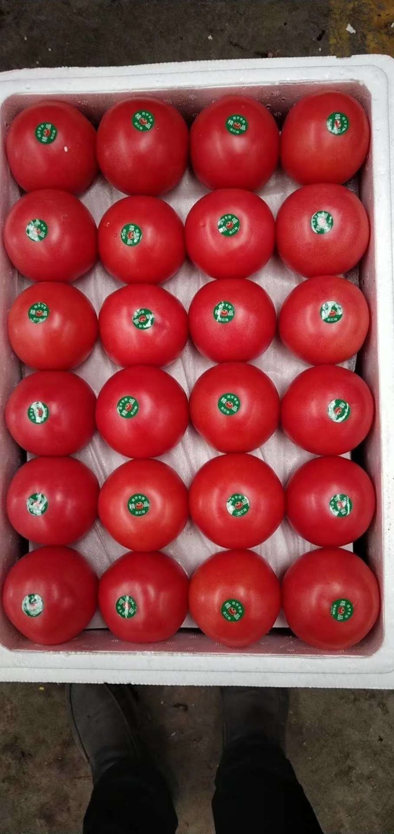 赤峰大城子暖棚硬粉精品西红柿大量现货欢迎新老客户前来选购