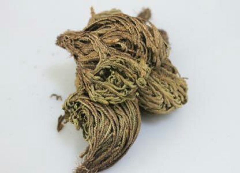 卷柏，常年批发供应，卷柏，九死还魂草，中草药