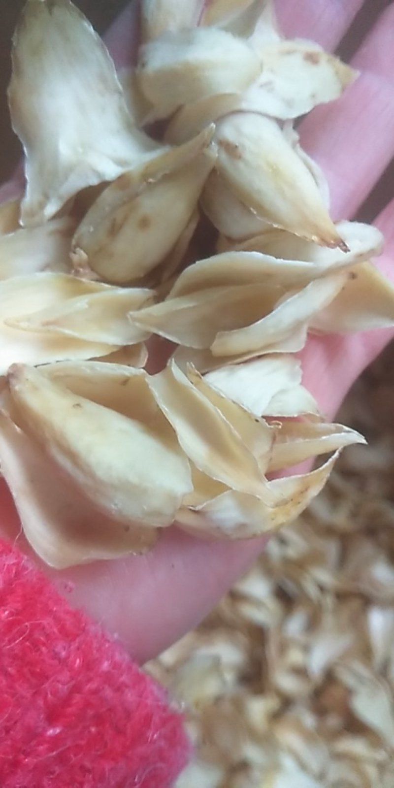 百合干无硫，一手货源，质量保证