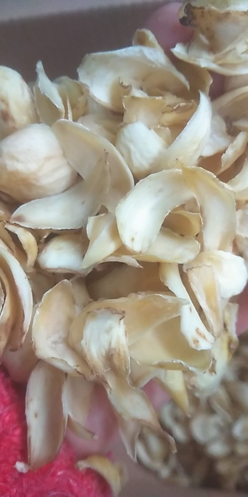 百合干无硫，一手货源，质量保证