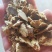 产家直供玉米油饼玉米胚芽饼牛羊猪鸡鸭鹅鱼虾等养殖育肥饲料