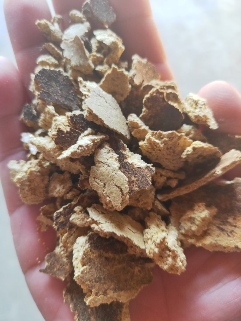 产家直供玉米油饼玉米胚芽饼牛羊猪鸡鸭鹅鱼虾等养殖育肥饲料