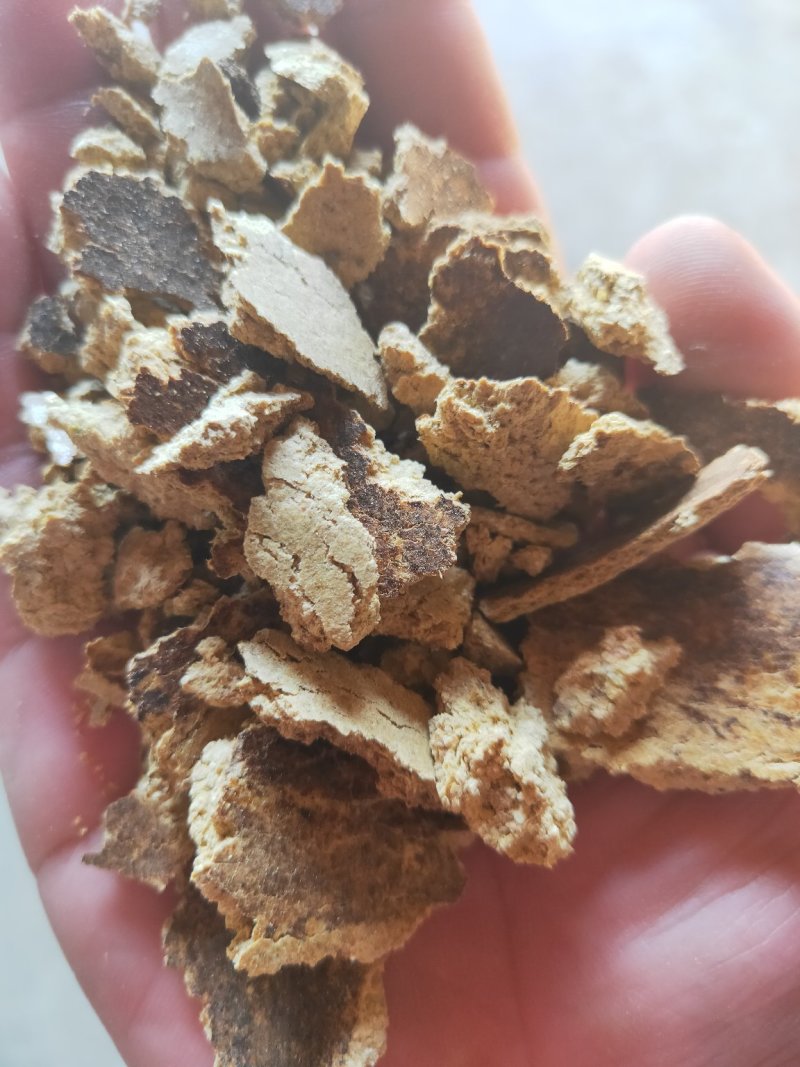 产家直供玉米油饼玉米胚芽饼牛羊猪鸡鸭鹅鱼虾等养殖育肥饲料