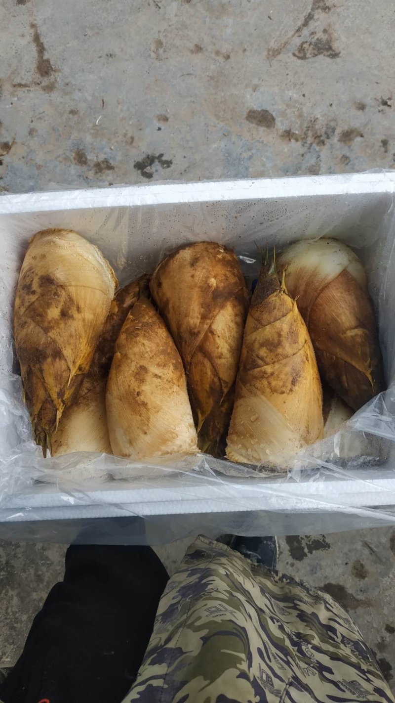冬笋精品上市！！！！！！！！！！！！！！！！！