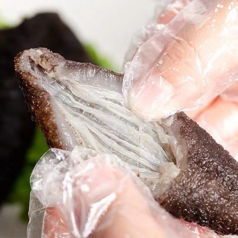 即食海参大连海参辽参