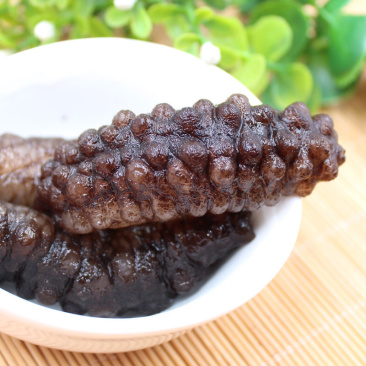 即食海参大连海参辽参