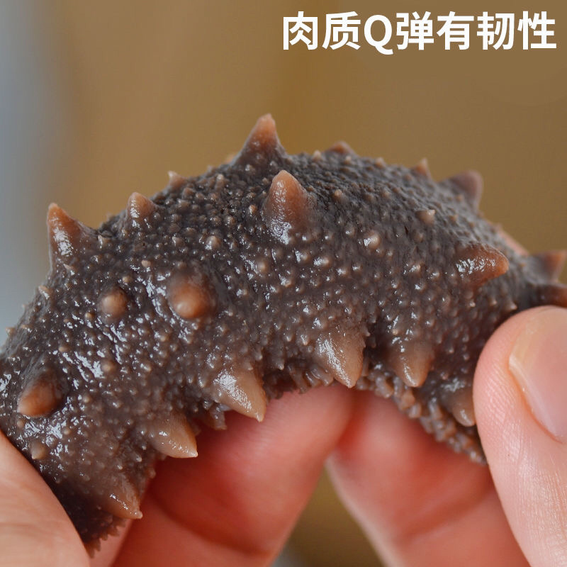 即食海参大连海参辽参