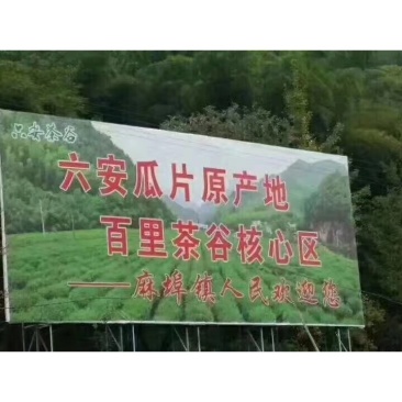 六安瓜片