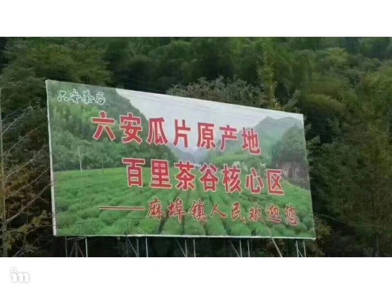 六安瓜片
