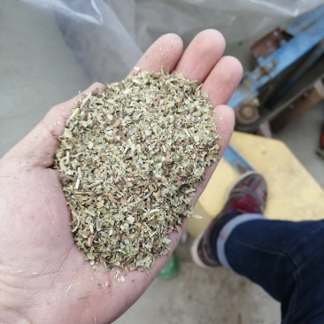 花生秧碎叶，蛋白含量高，可以视频看货
