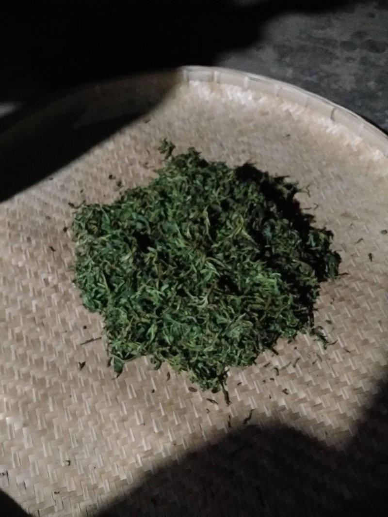 2028古树茶