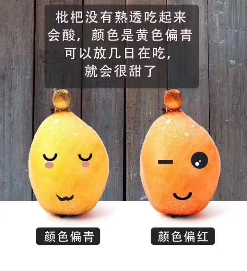 枇杷