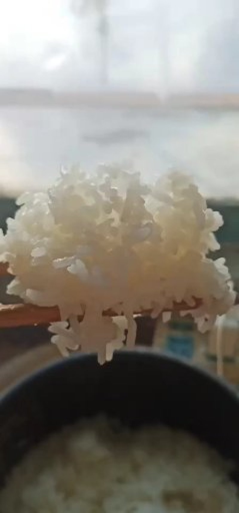 稻花香二号大米缩封米砖