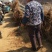 杨树苗107货大量，【原地统货】！！带土，成活率高