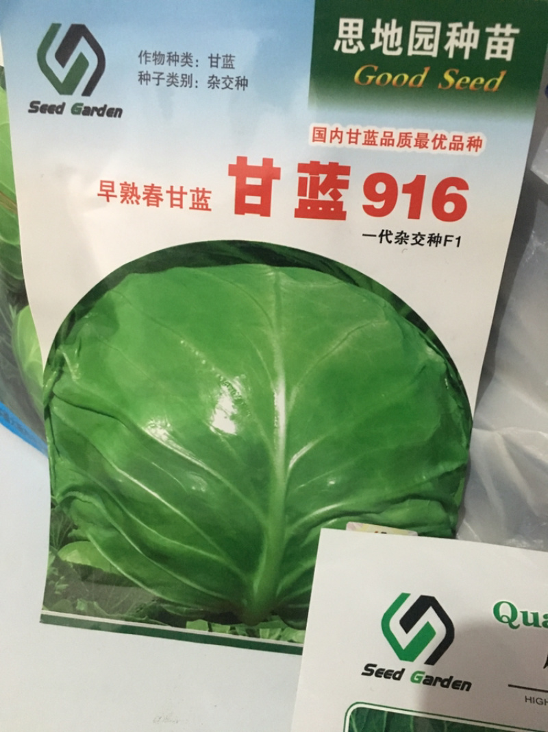 特价甘蓝种子处理，916.**等品种