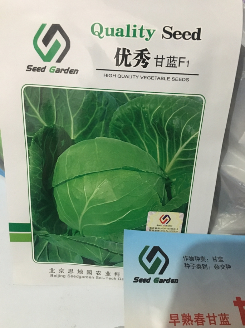 特价甘蓝种子处理，916.**等品种