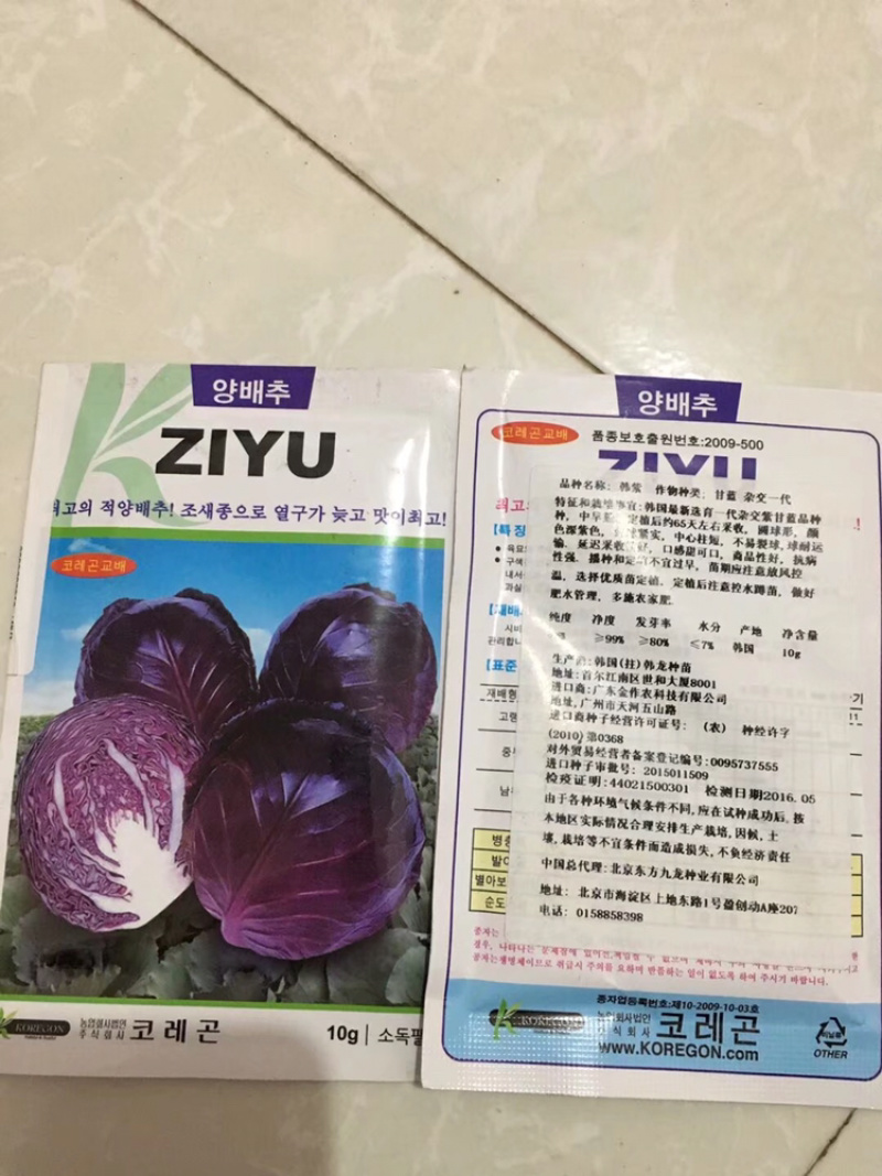 特价甘蓝种子处理，916.**等品种